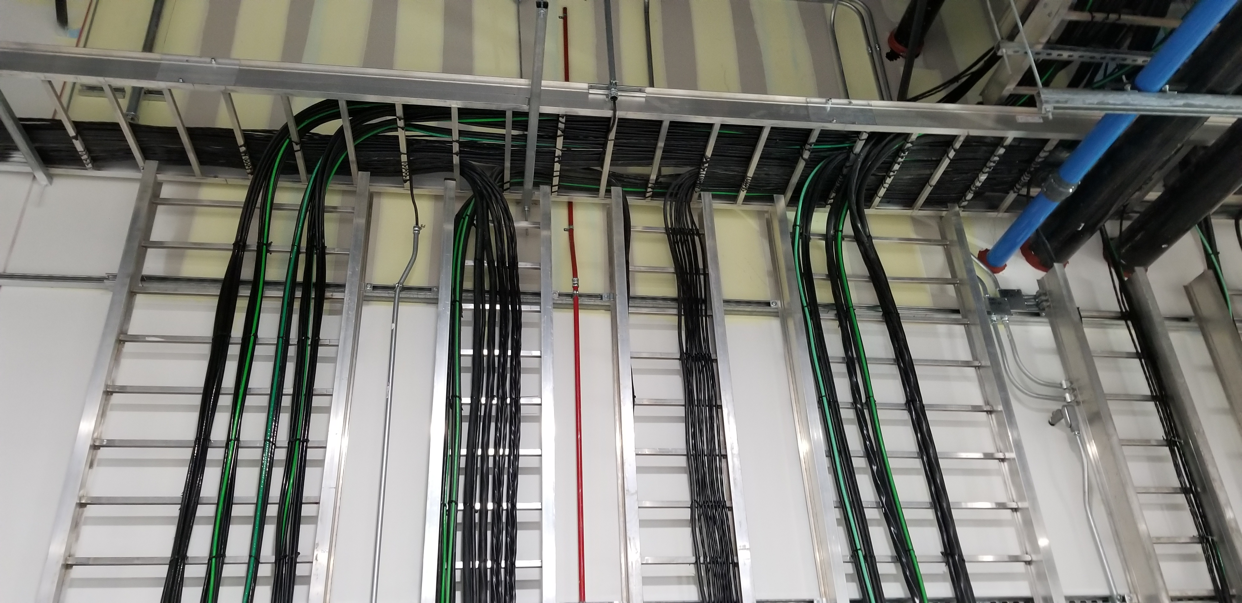 Early Site & Mobilization — field photo 3