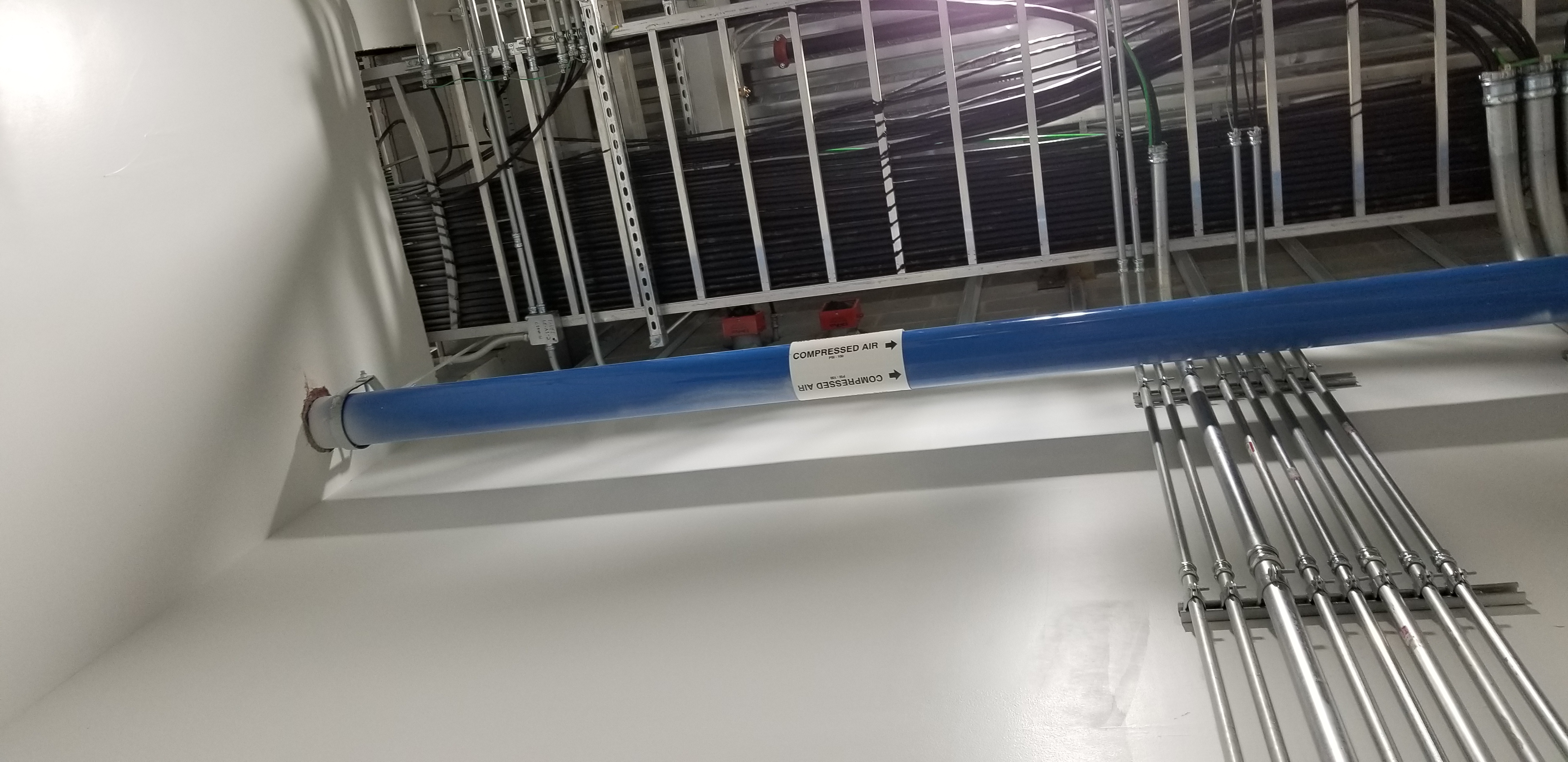 Early Site & Mobilization — field photo 4