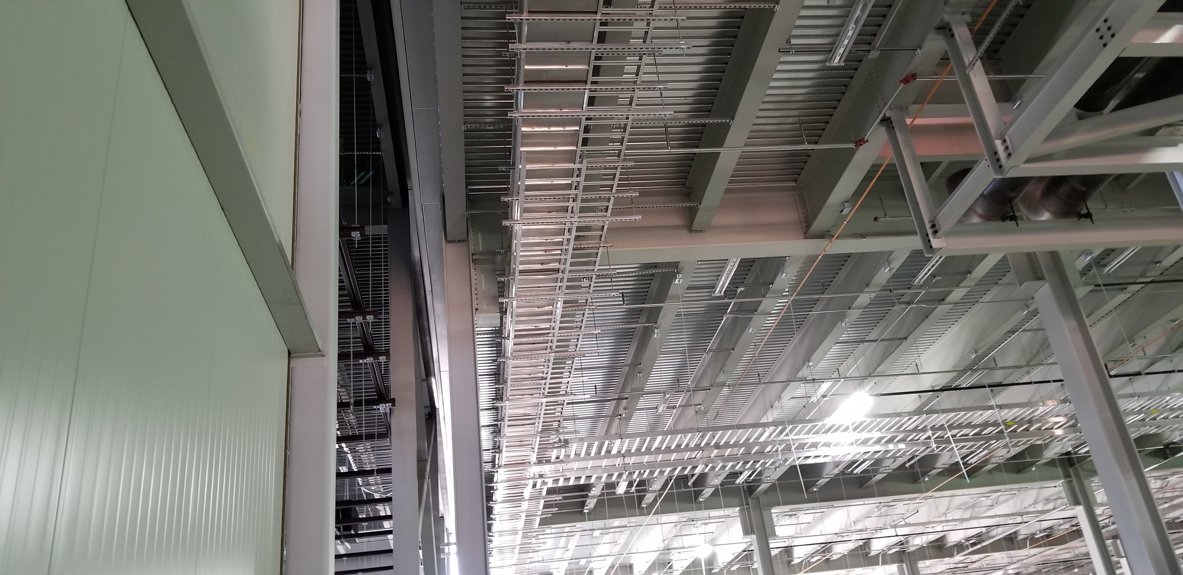 Underground & Feeders — field photo 5