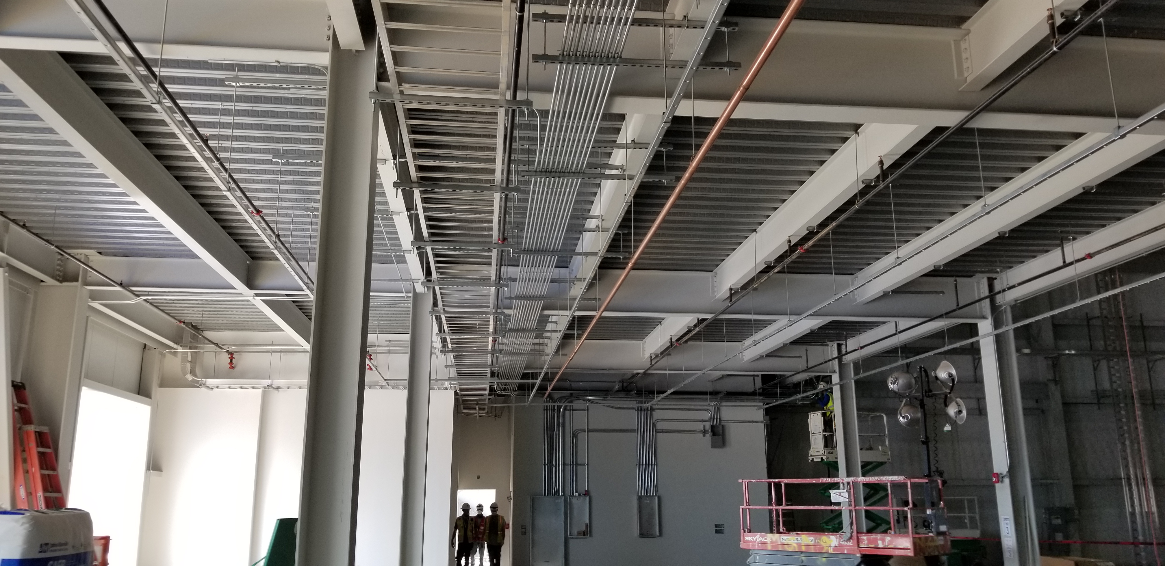 Underground & Feeders — field photo 7