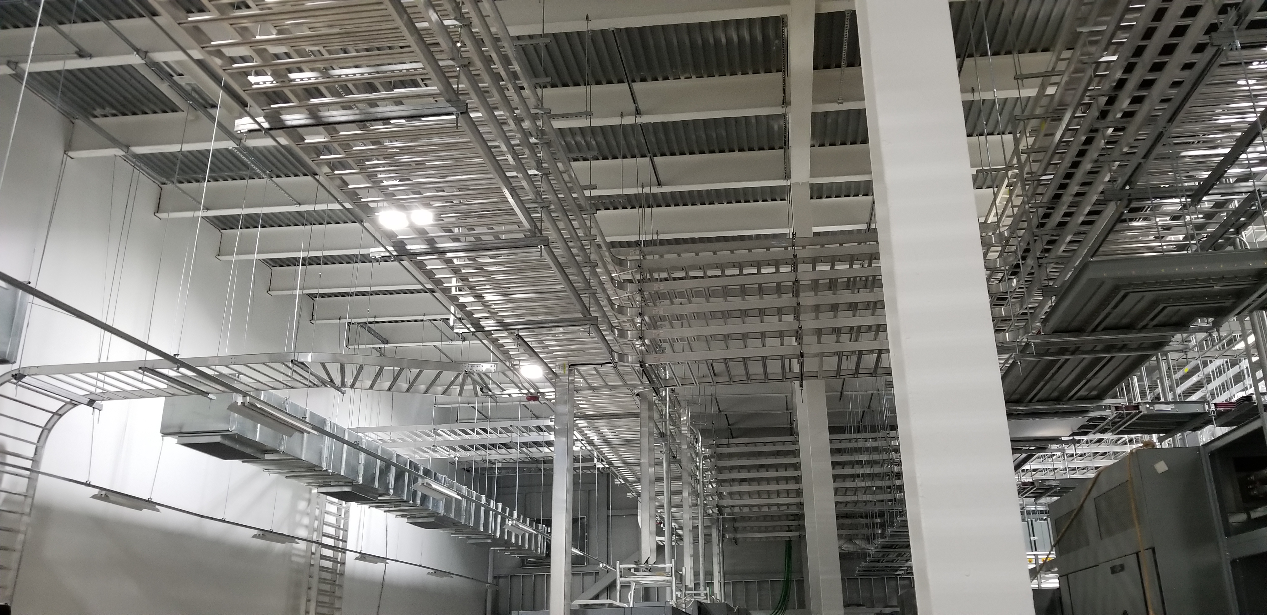 Main Distribution — field photo 13