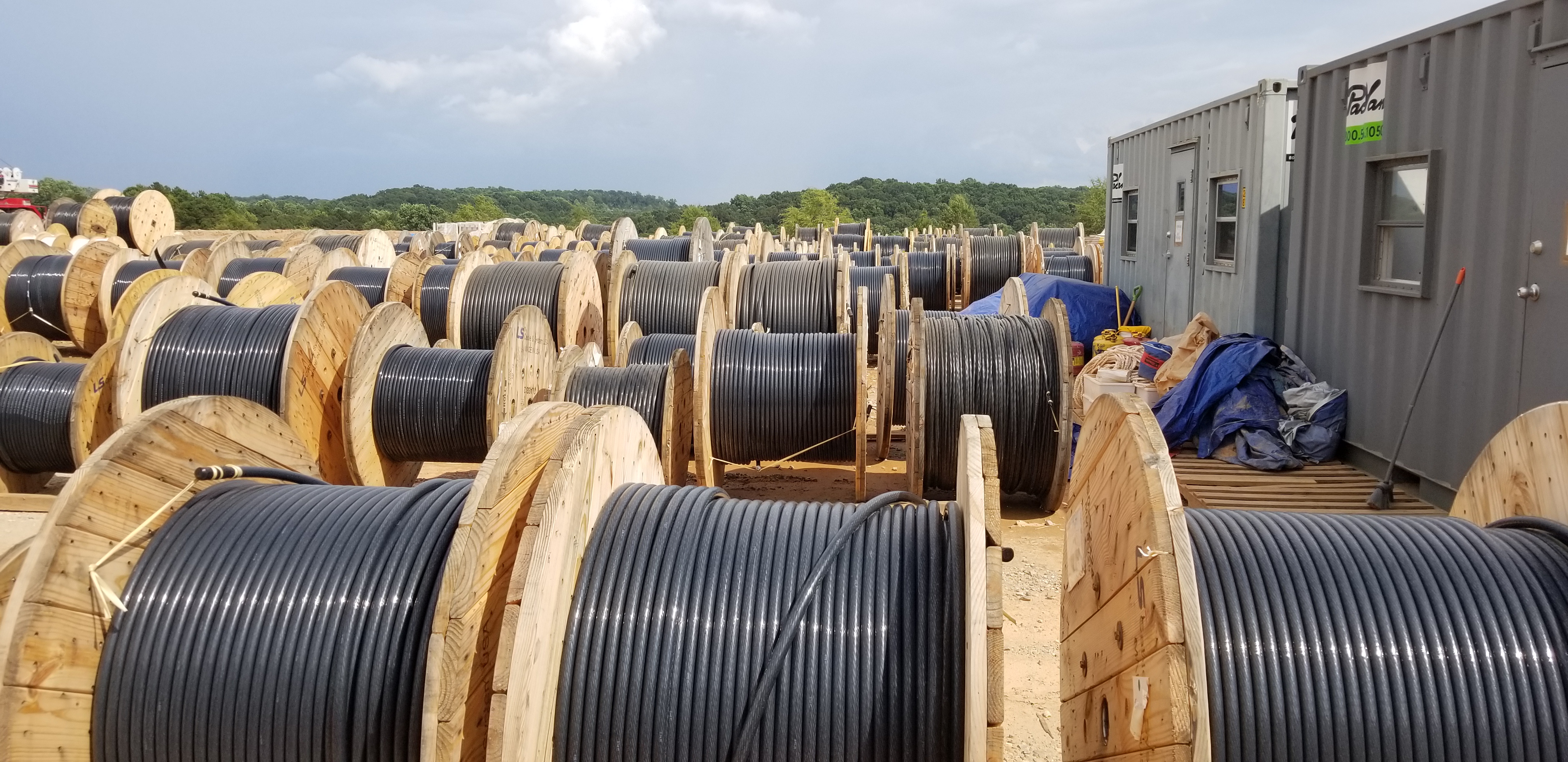 Underground & Feeders — field photo 27
