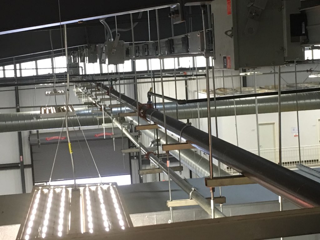 Field Progress & Close-out — field photo 33