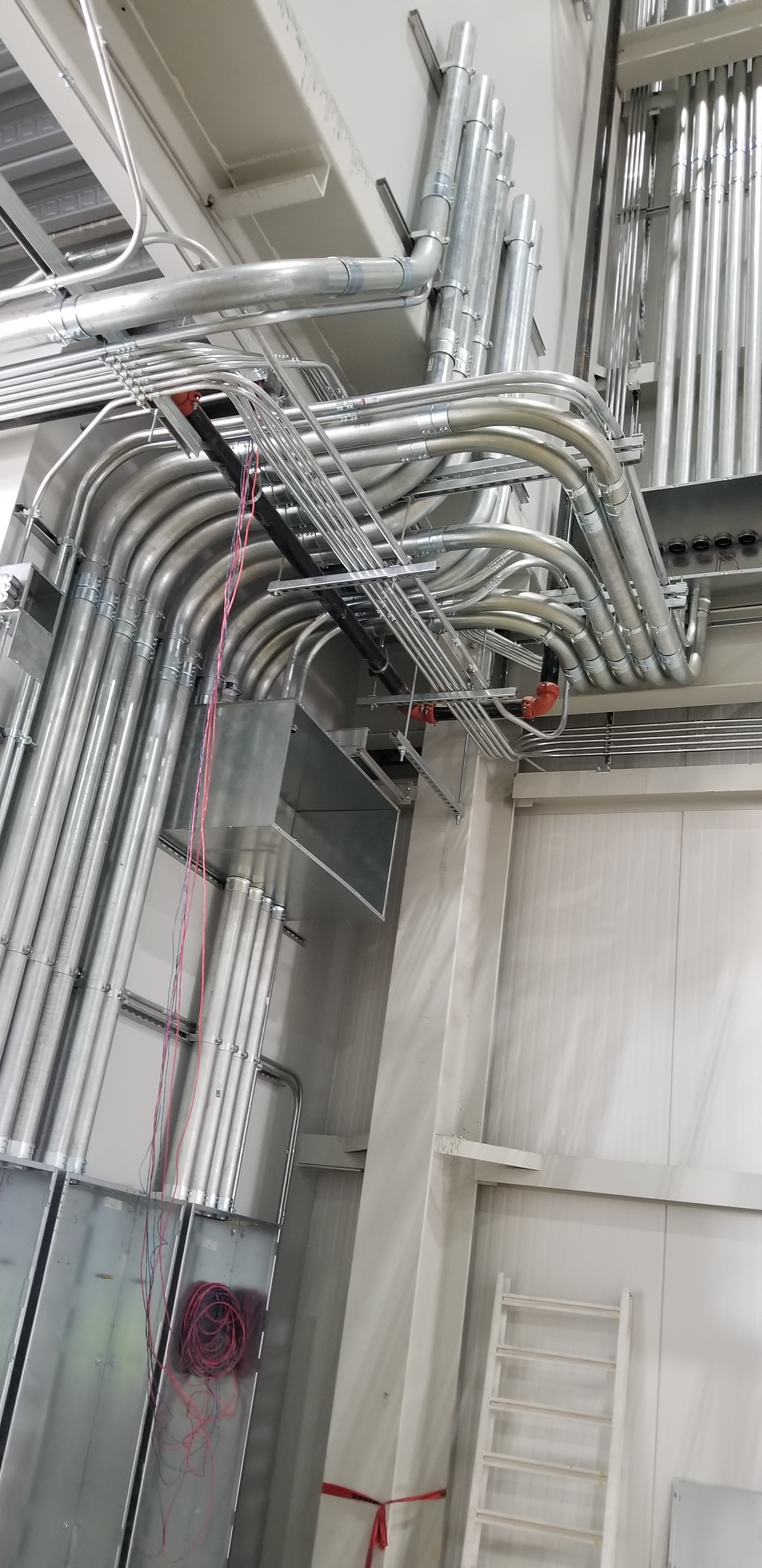 Main Distribution — field photo 51